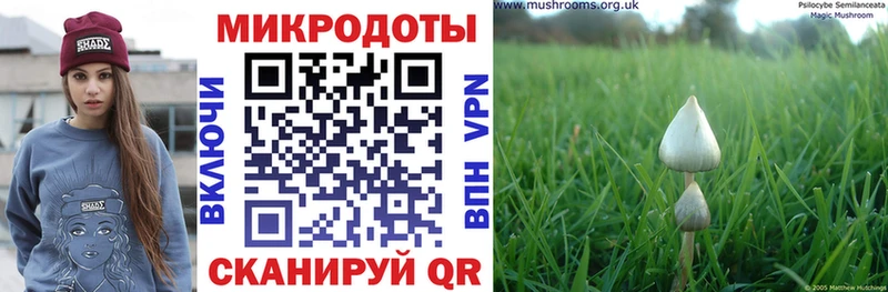Купить где  Киржач  Галлюциногенные грибы прущие грибы 
